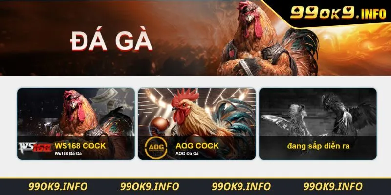 Nền tảng cung cấp trên 200 trận đấu đá gà
