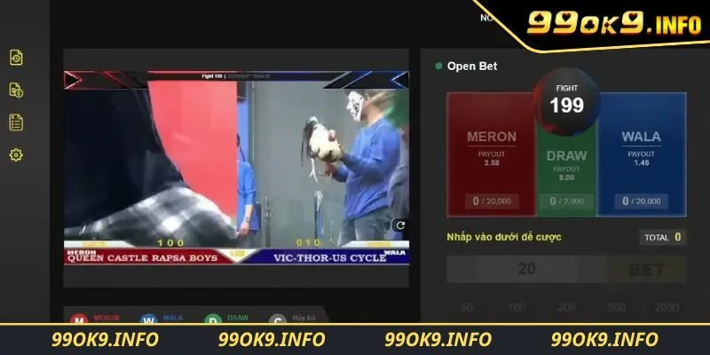 Những hình thức chọi kê hấp dẫn nhất năm 2025 tại nhà cái 99OK